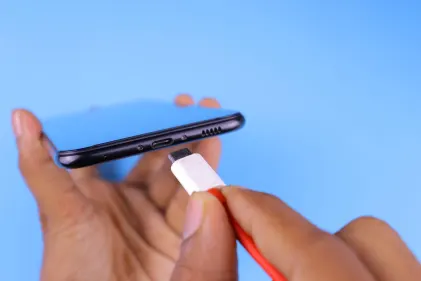 Dogs Fortune Casino Mobile App